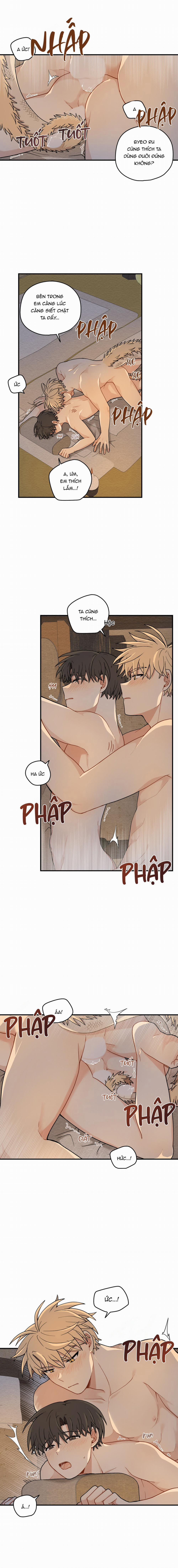 Dưới Tán Hoa Liên Kiều 60 trang 13