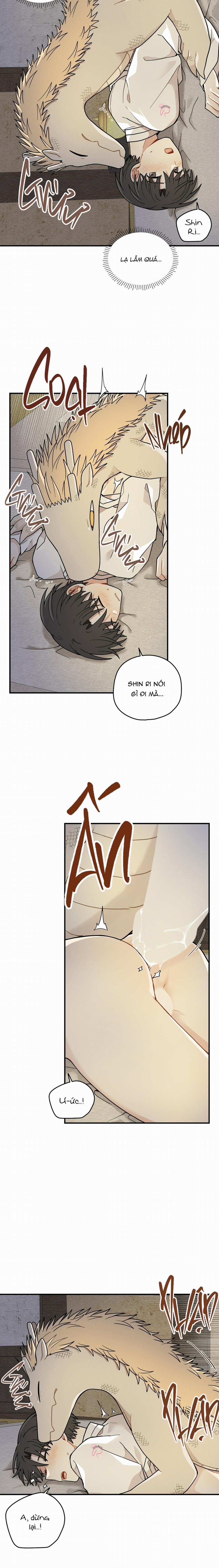 Dưới Tán Hoa Liên Kiều 66 trang 4