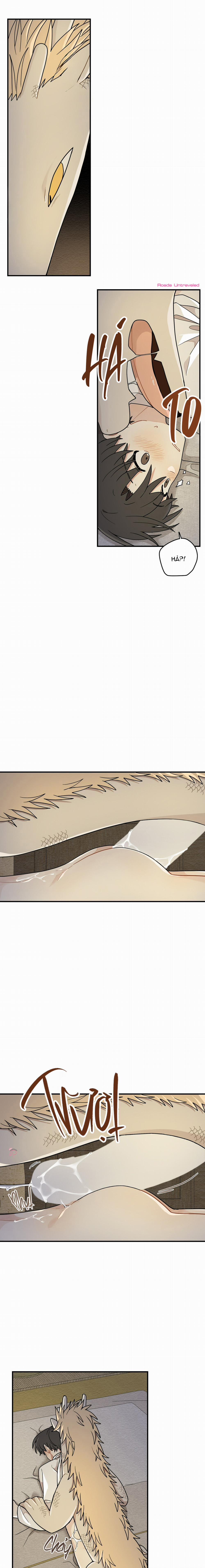 Dưới Tán Hoa Liên Kiều 66 trang 5