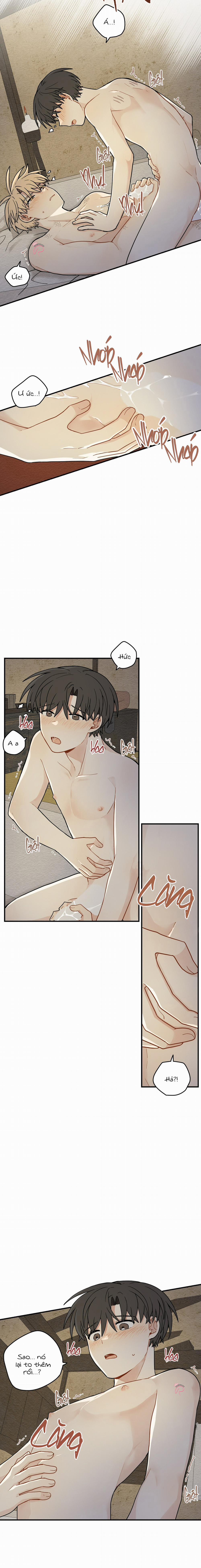 Dưới Tán Hoa Liên Kiều 67 trang 12