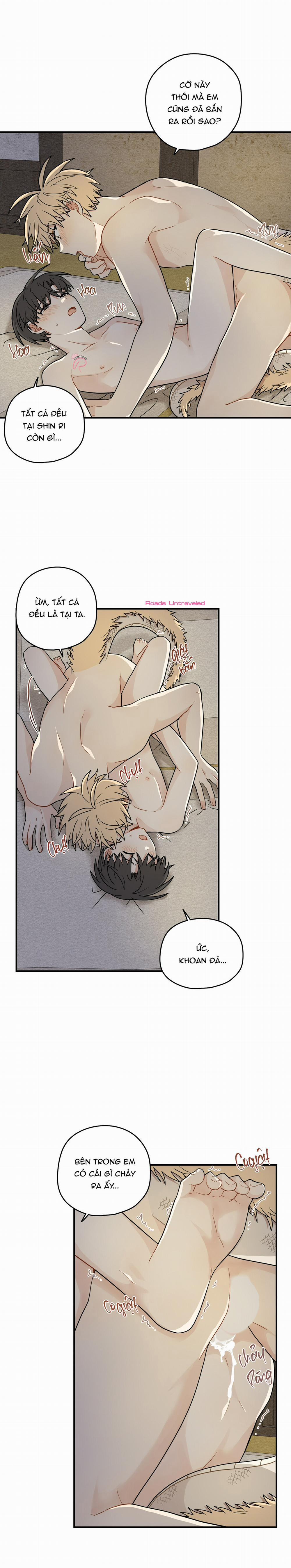 Dưới Tán Hoa Liên Kiều 68 trang 11