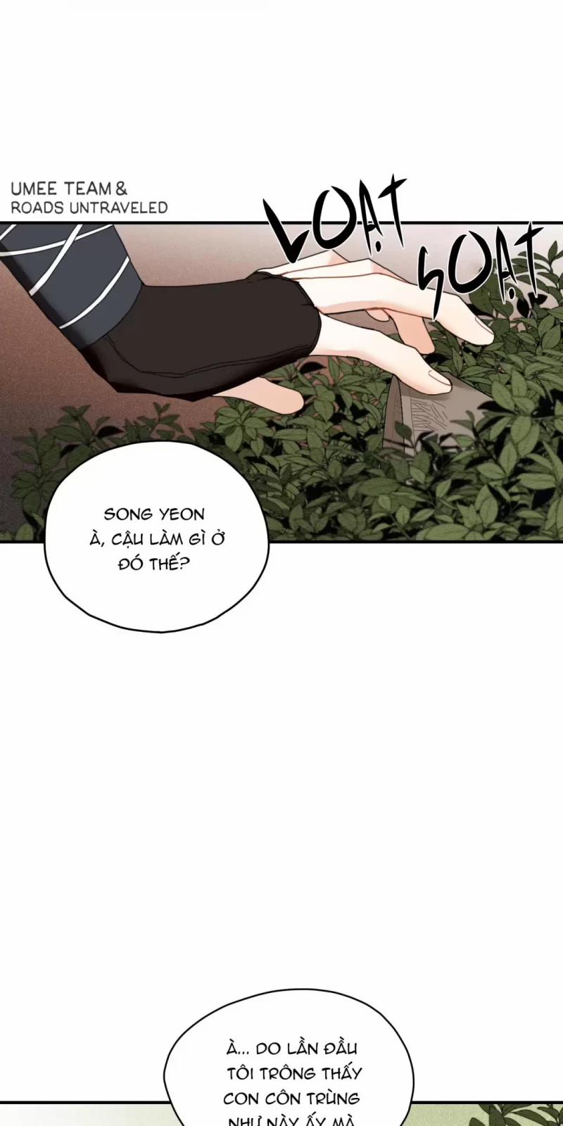 Dưới Tán Hoa Liên Kiều 7 trang 10