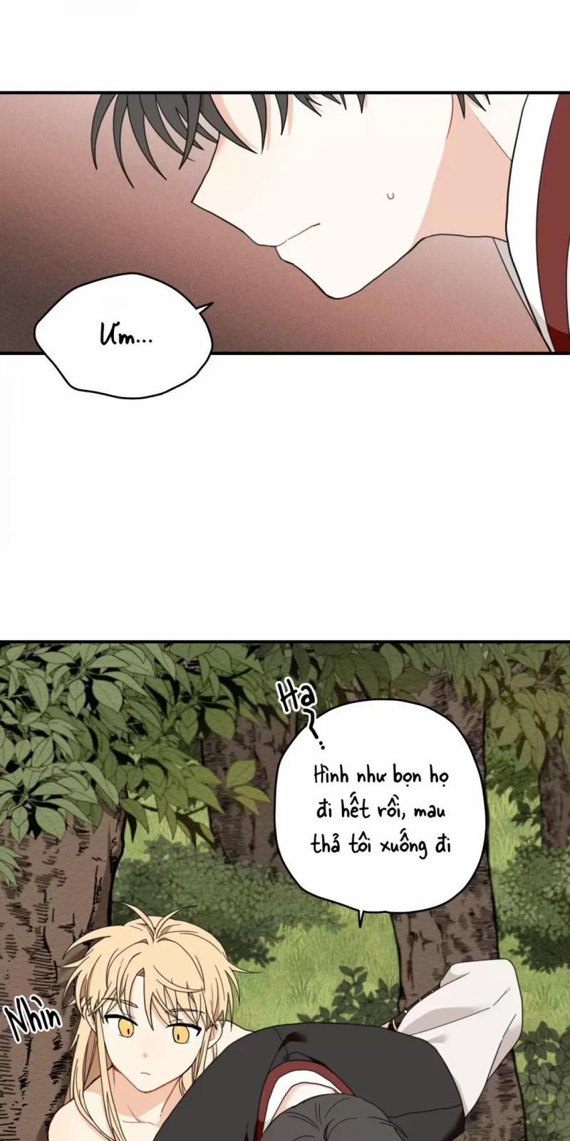 Dưới Tán Hoa Liên Kiều 7 trang 14