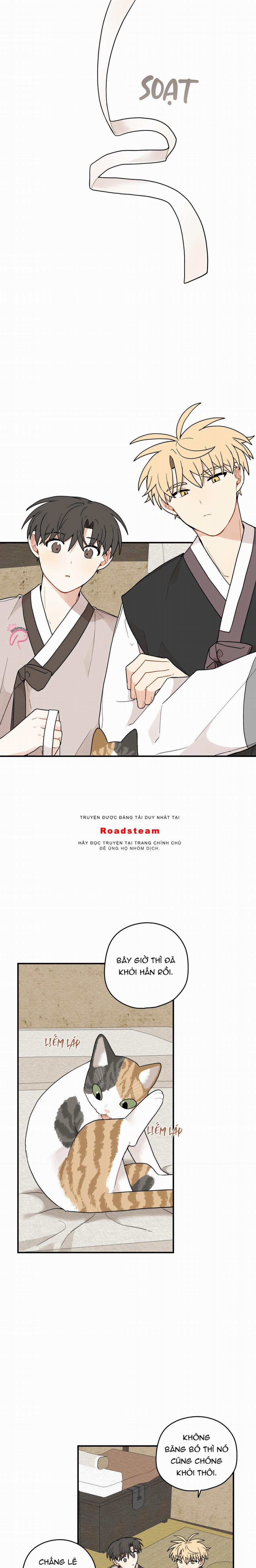 Dưới Tán Hoa Liên Kiều 70 trang 1