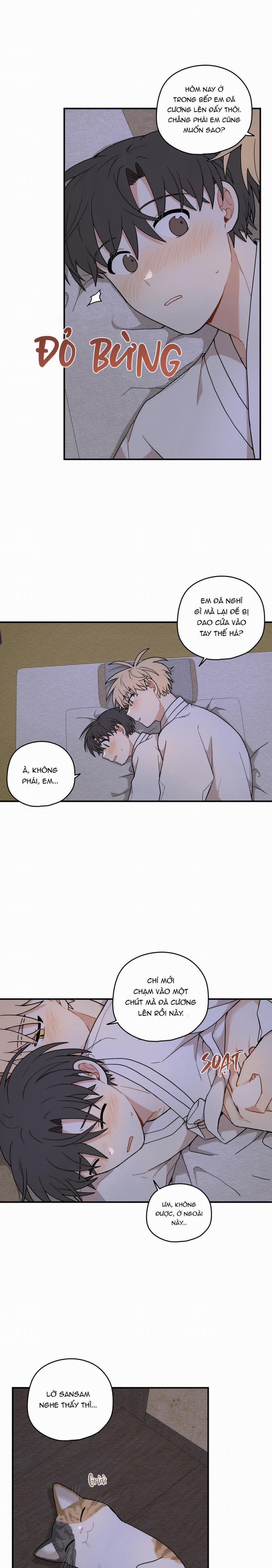 Dưới Tán Hoa Liên Kiều 70 trang 13