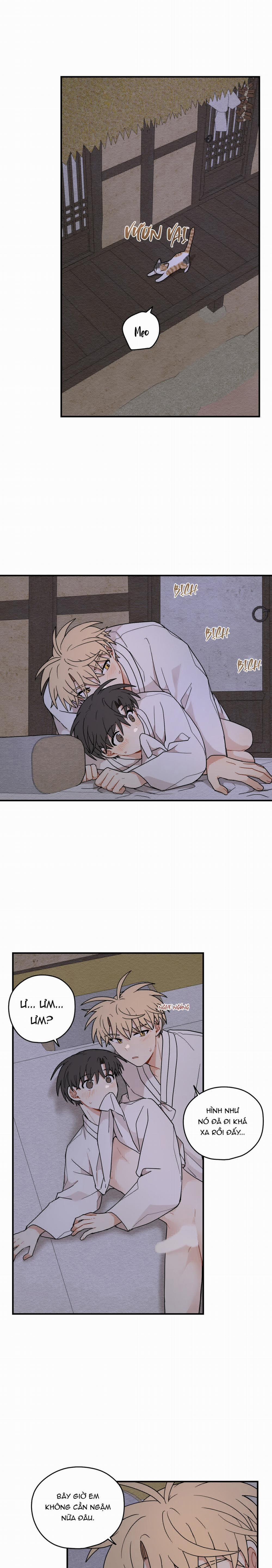 Dưới Tán Hoa Liên Kiều 70 trang 19