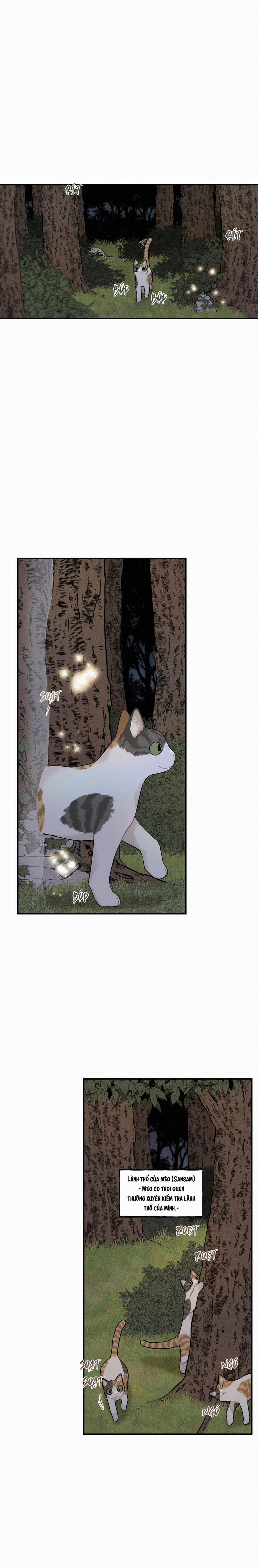 Dưới Tán Hoa Liên Kiều 70 trang 21