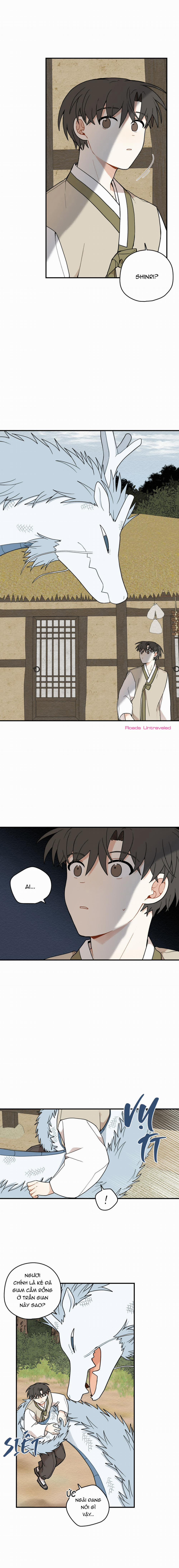 Dưới Tán Hoa Liên Kiều 71 trang 11