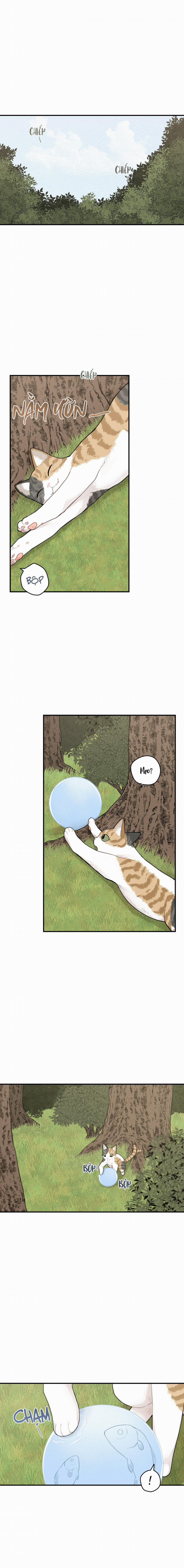 Dưới Tán Hoa Liên Kiều 71 trang 3