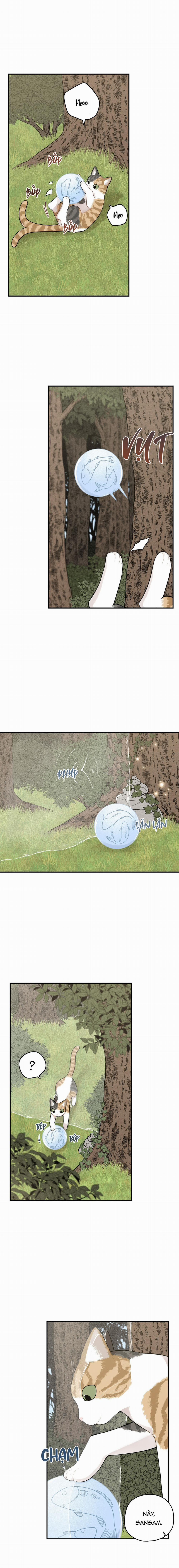 Dưới Tán Hoa Liên Kiều 71 trang 4