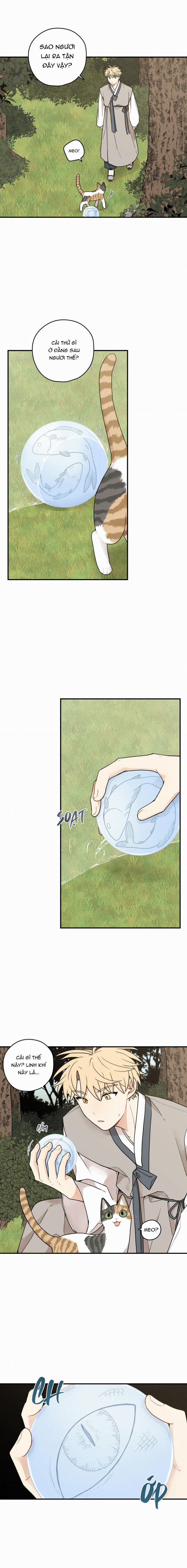 Dưới Tán Hoa Liên Kiều 71 trang 5