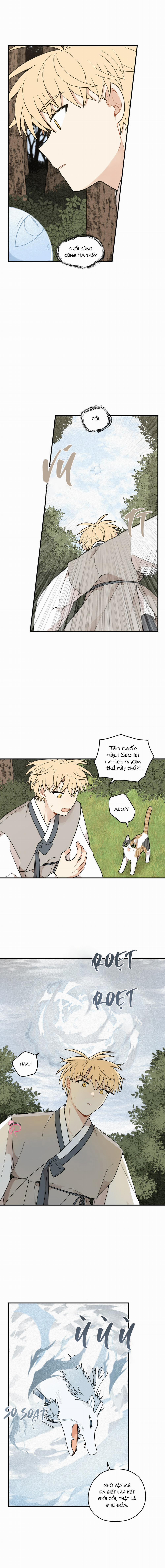 Dưới Tán Hoa Liên Kiều 71 trang 6