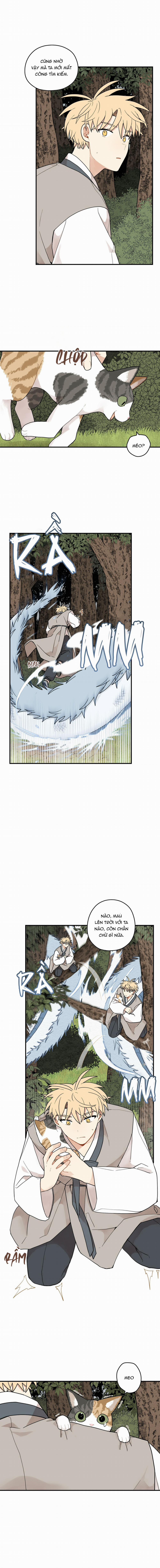 Dưới Tán Hoa Liên Kiều 71 trang 7