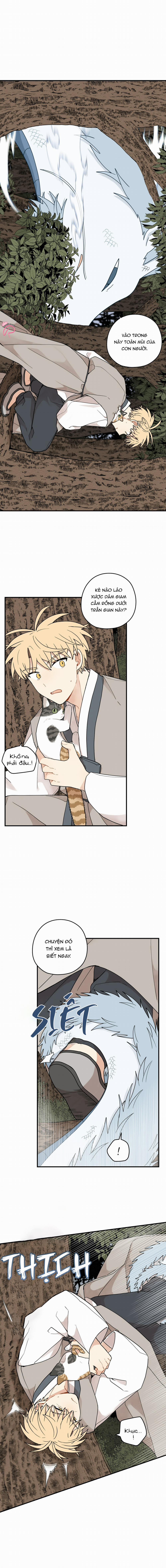 Dưới Tán Hoa Liên Kiều 71 trang 8