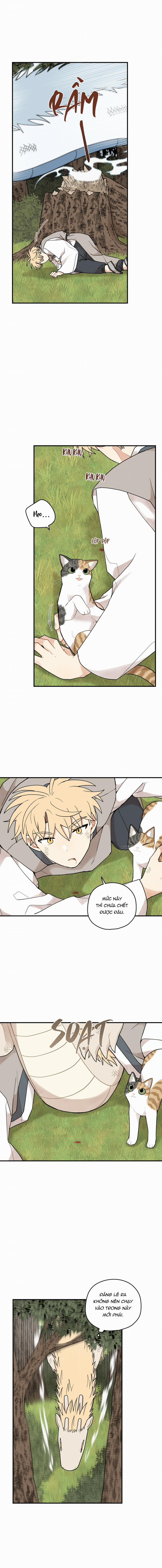 Dưới Tán Hoa Liên Kiều 71 trang 9