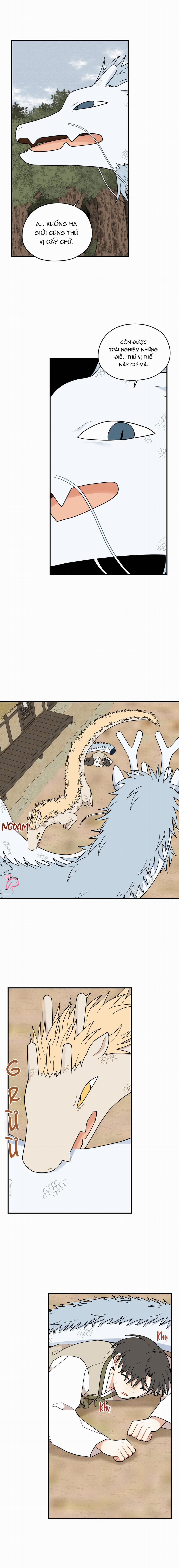 Dưới Tán Hoa Liên Kiều 72 trang 4