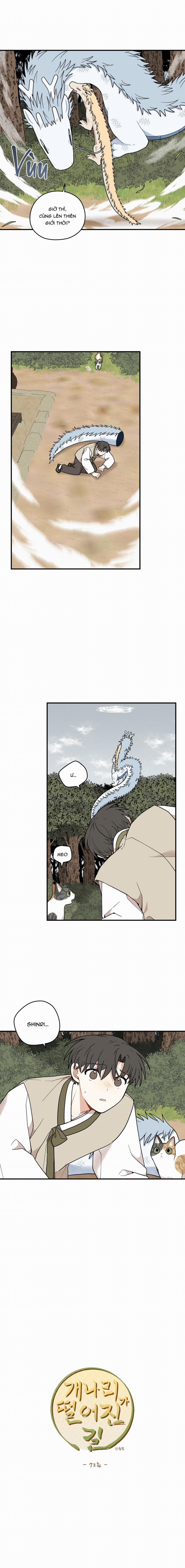 Dưới Tán Hoa Liên Kiều 72 trang 5