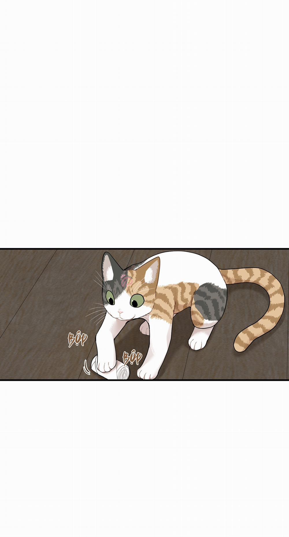 Dưới Tán Hoa Liên Kiều 74 trang 4