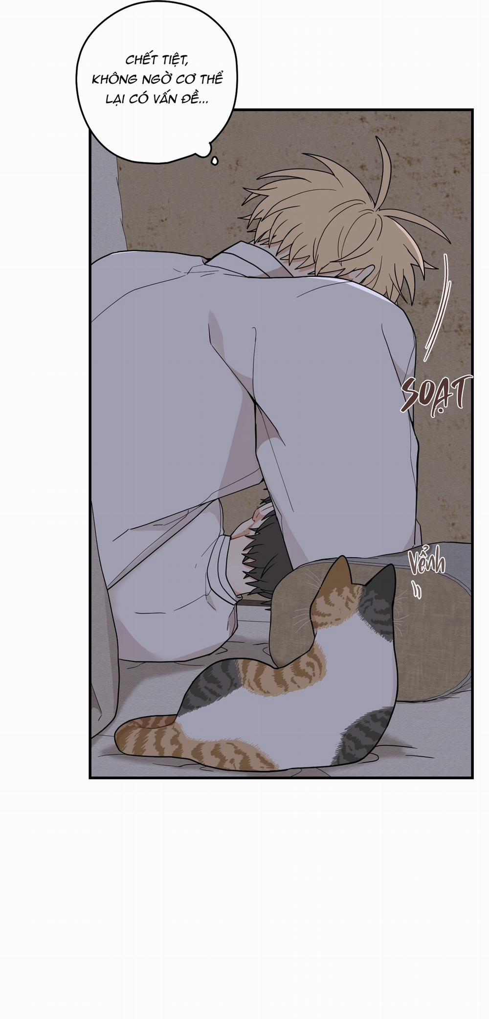 Dưới Tán Hoa Liên Kiều 74 trang 45