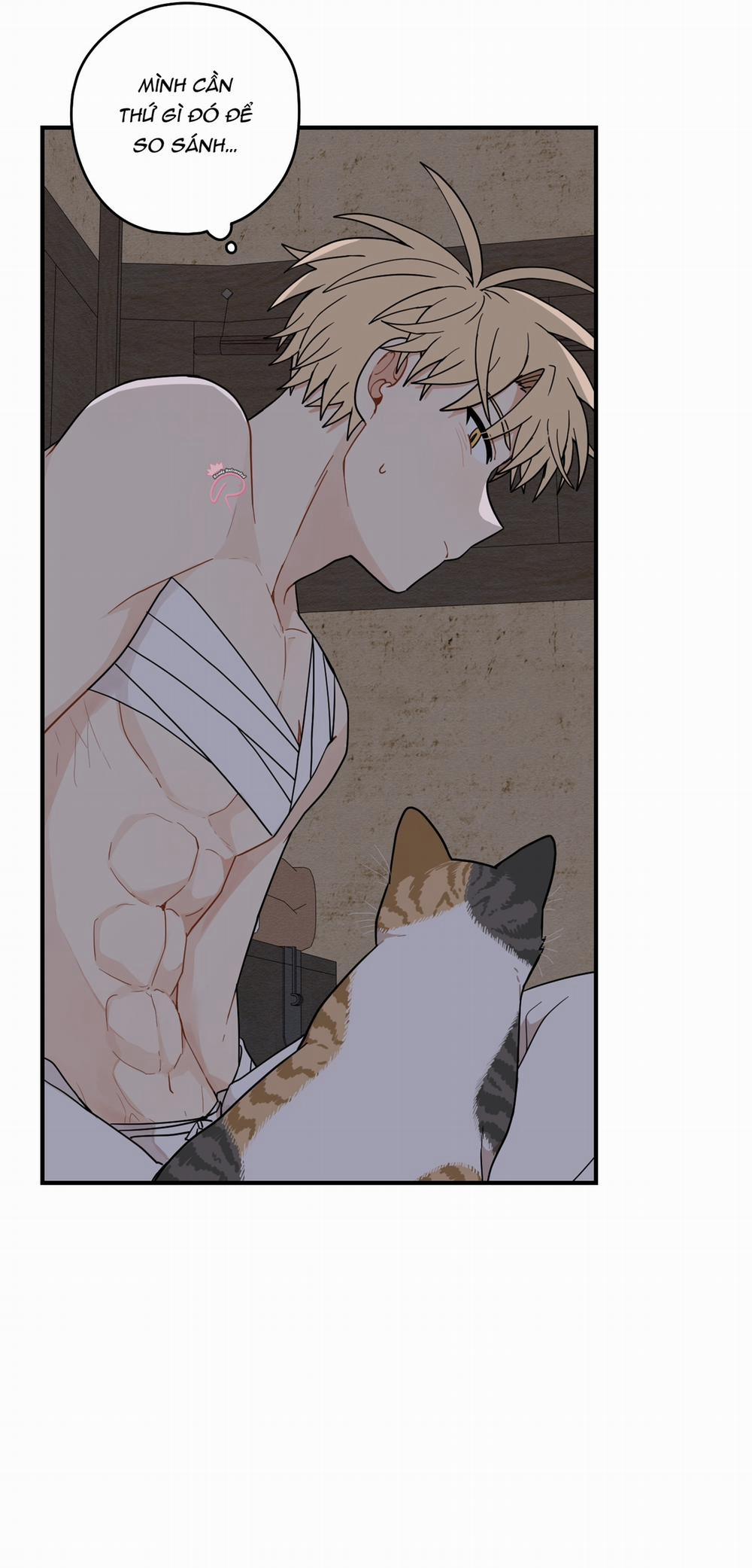 Dưới Tán Hoa Liên Kiều 74 trang 48