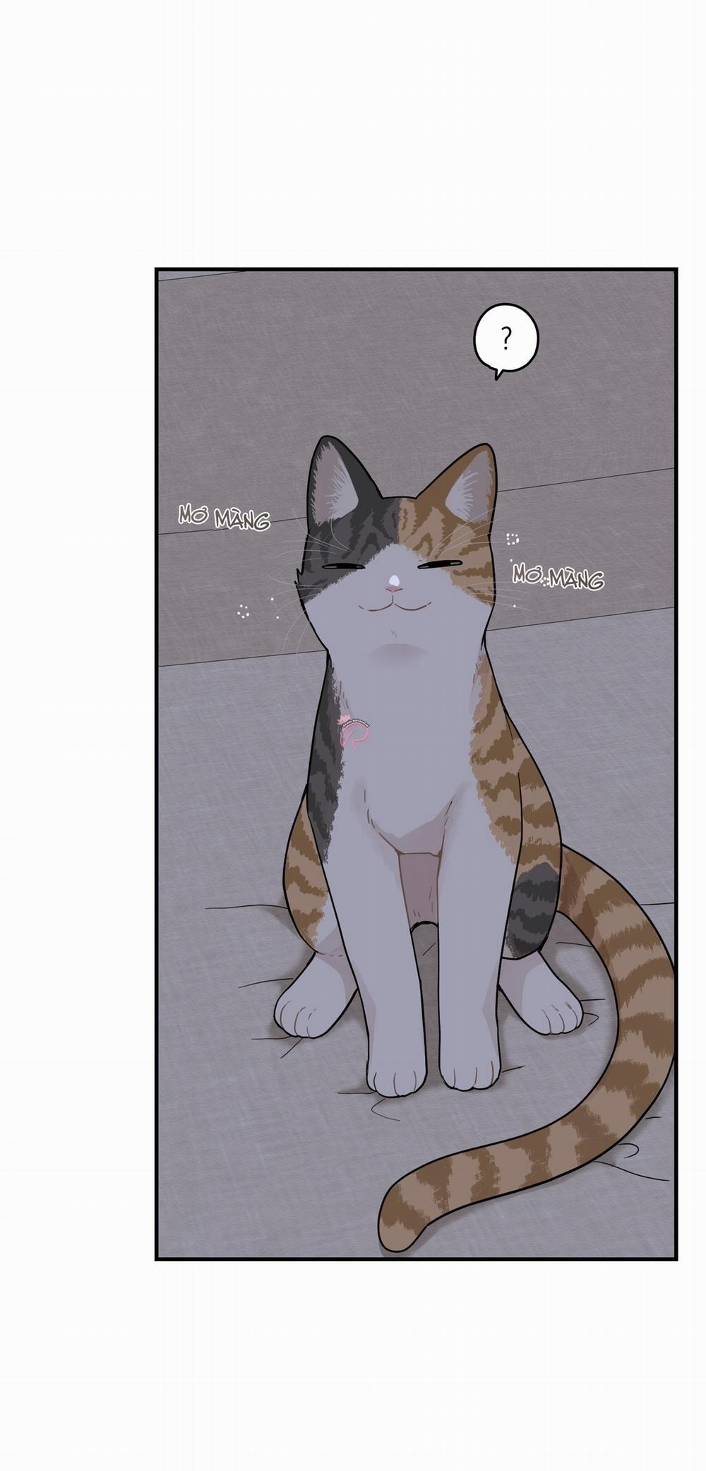 Dưới Tán Hoa Liên Kiều 74 trang 49