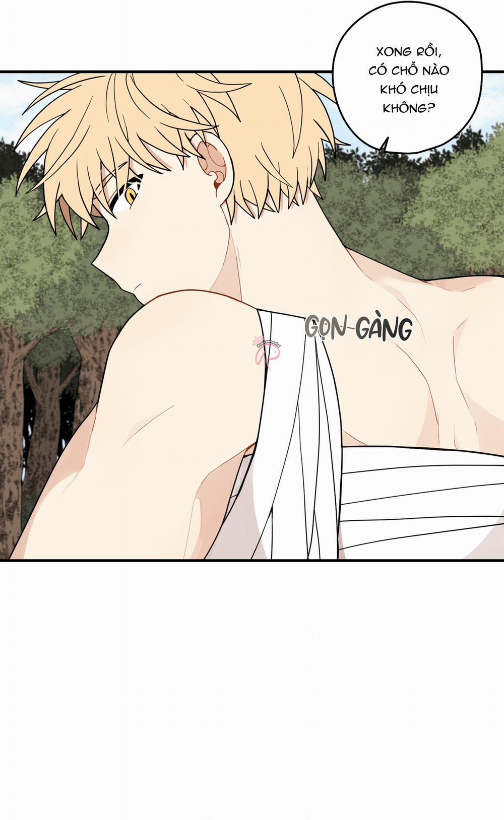 Dưới Tán Hoa Liên Kiều 74 trang 5