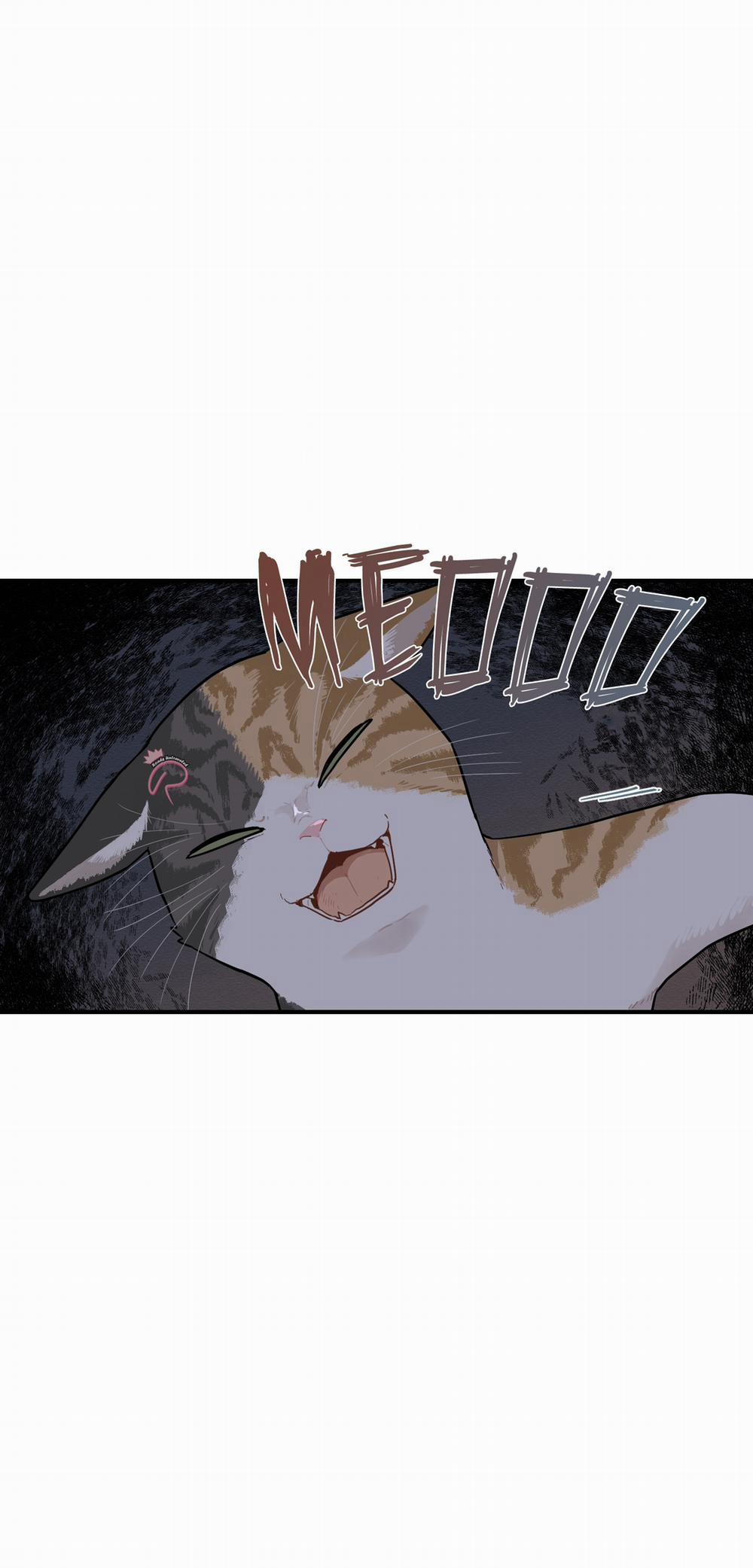 Dưới Tán Hoa Liên Kiều 74 trang 50