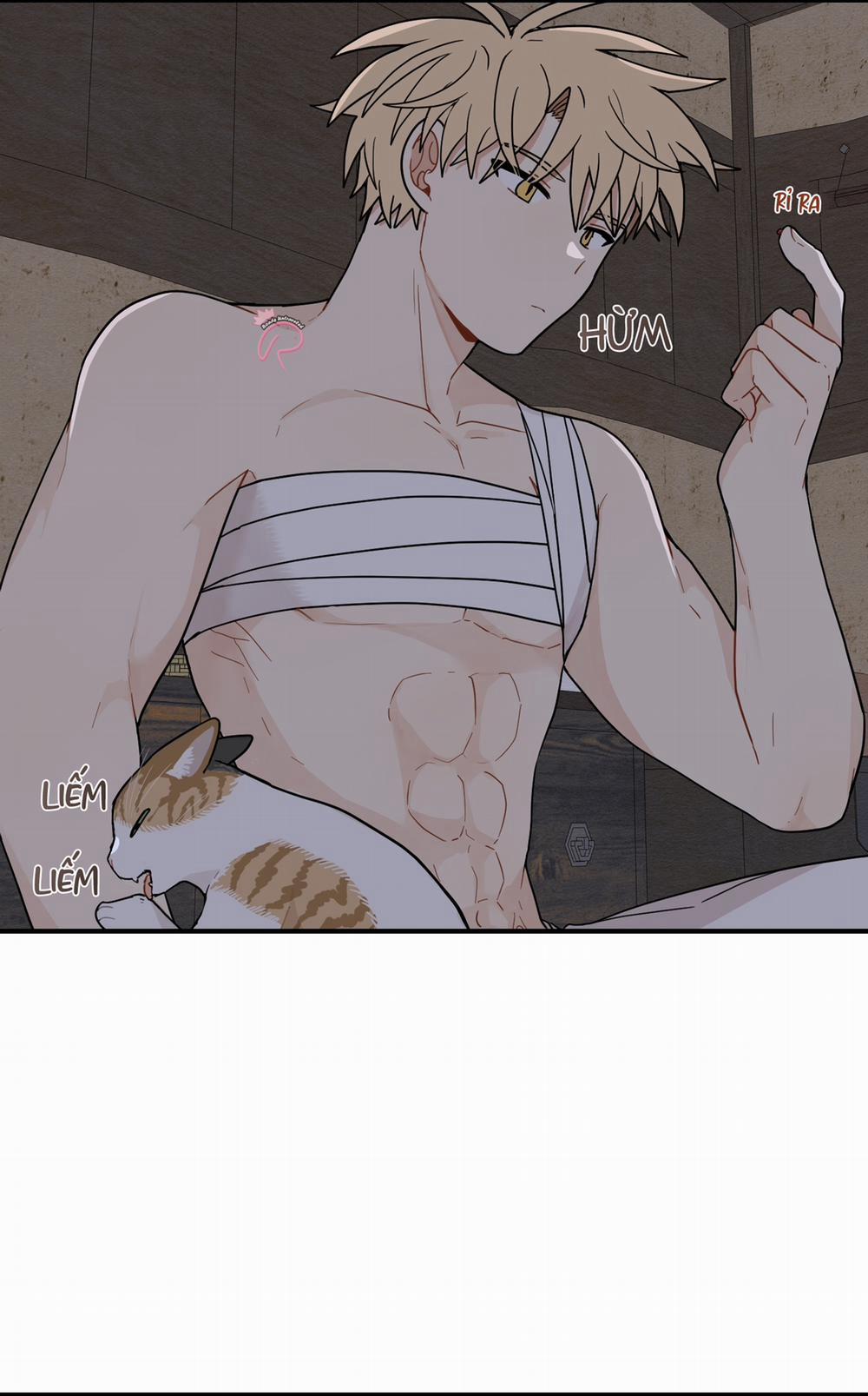 Dưới Tán Hoa Liên Kiều 74 trang 53