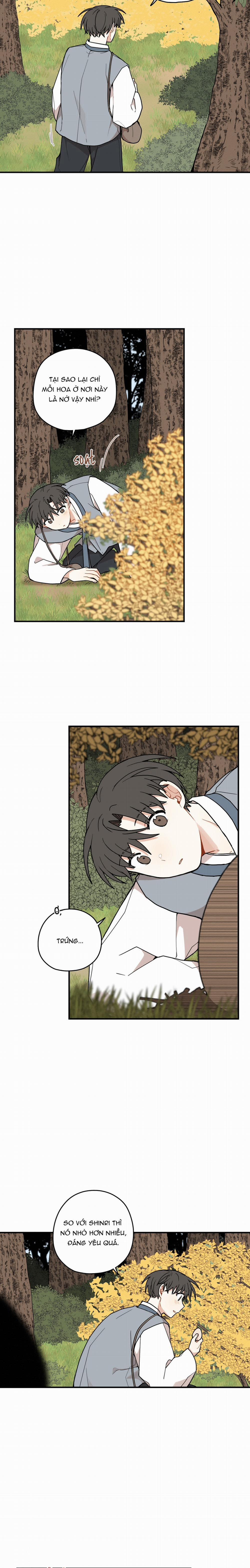 Dưới Tán Hoa Liên Kiều 78 trang 5