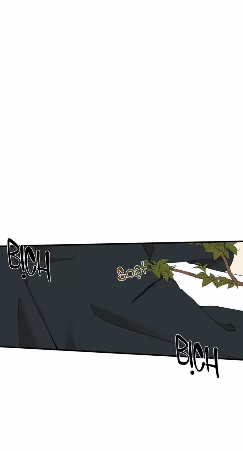 Dưới Tán Hoa Liên Kiều 8.5 trang 23