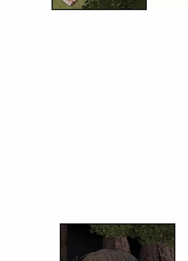 Dưới Tán Hoa Liên Kiều 8.5 trang 41