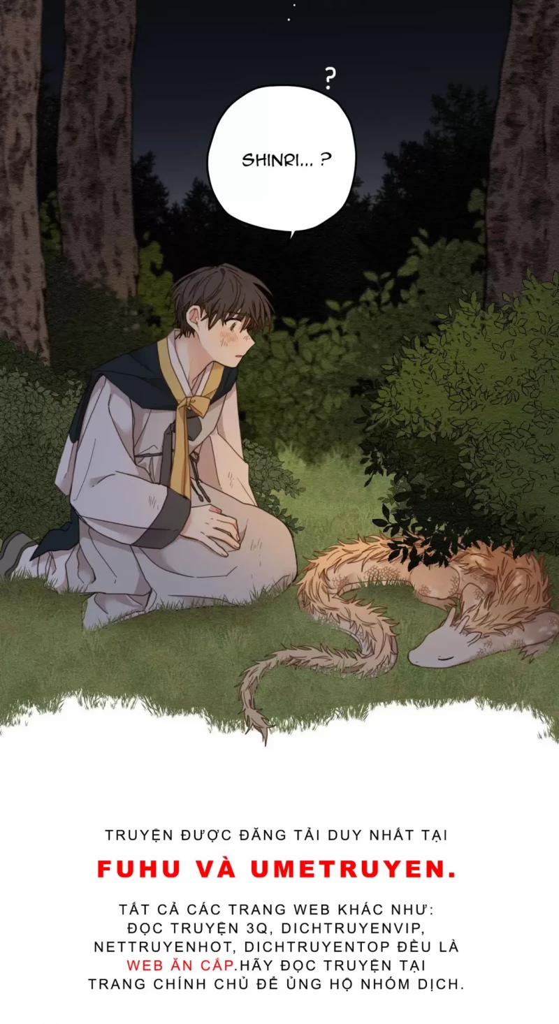 Dưới Tán Hoa Liên Kiều 8.5 trang 44