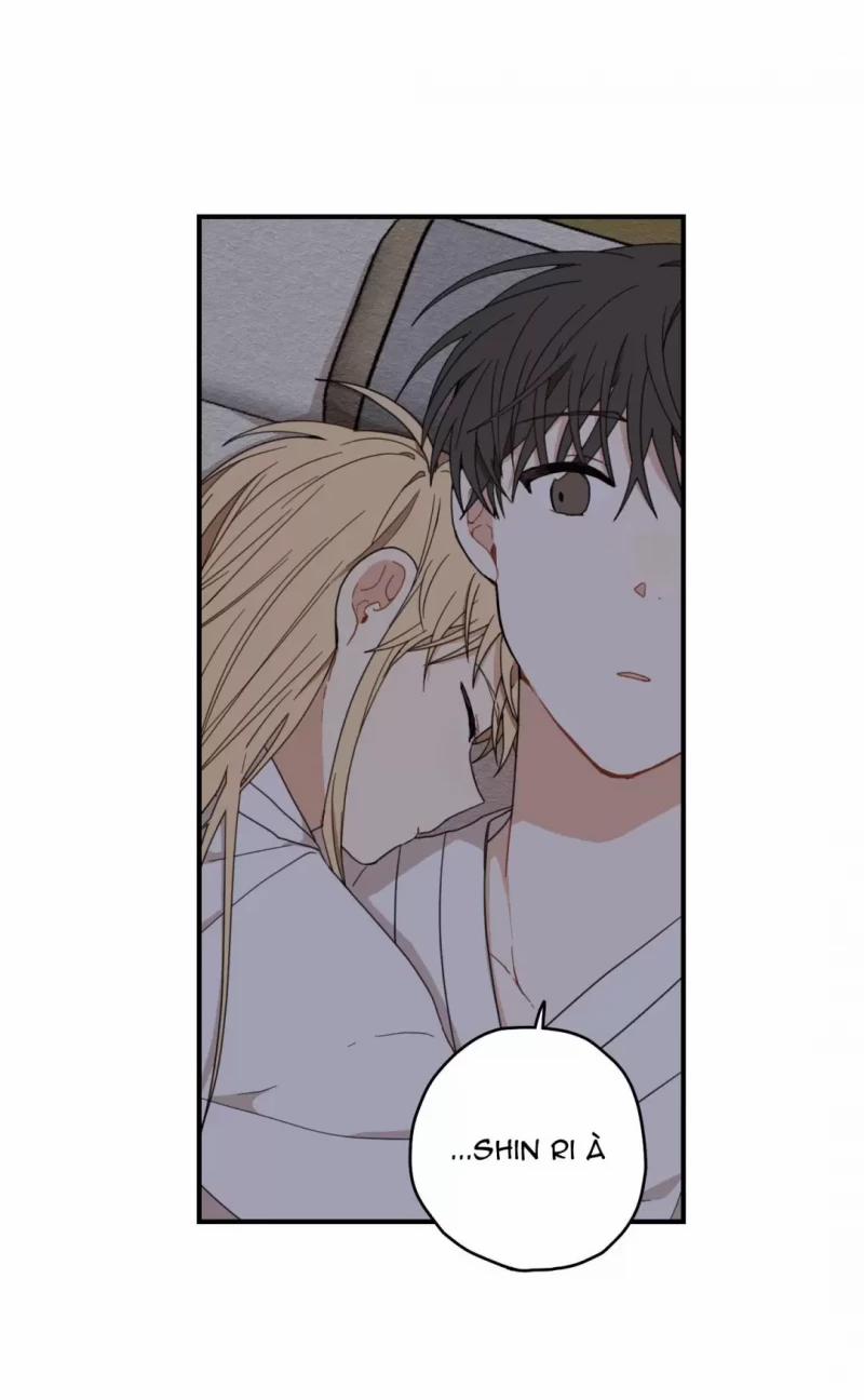 Dưới Tán Hoa Liên Kiều 8 trang 10