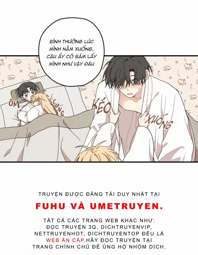 Dưới Tán Hoa Liên Kiều 8 trang 37