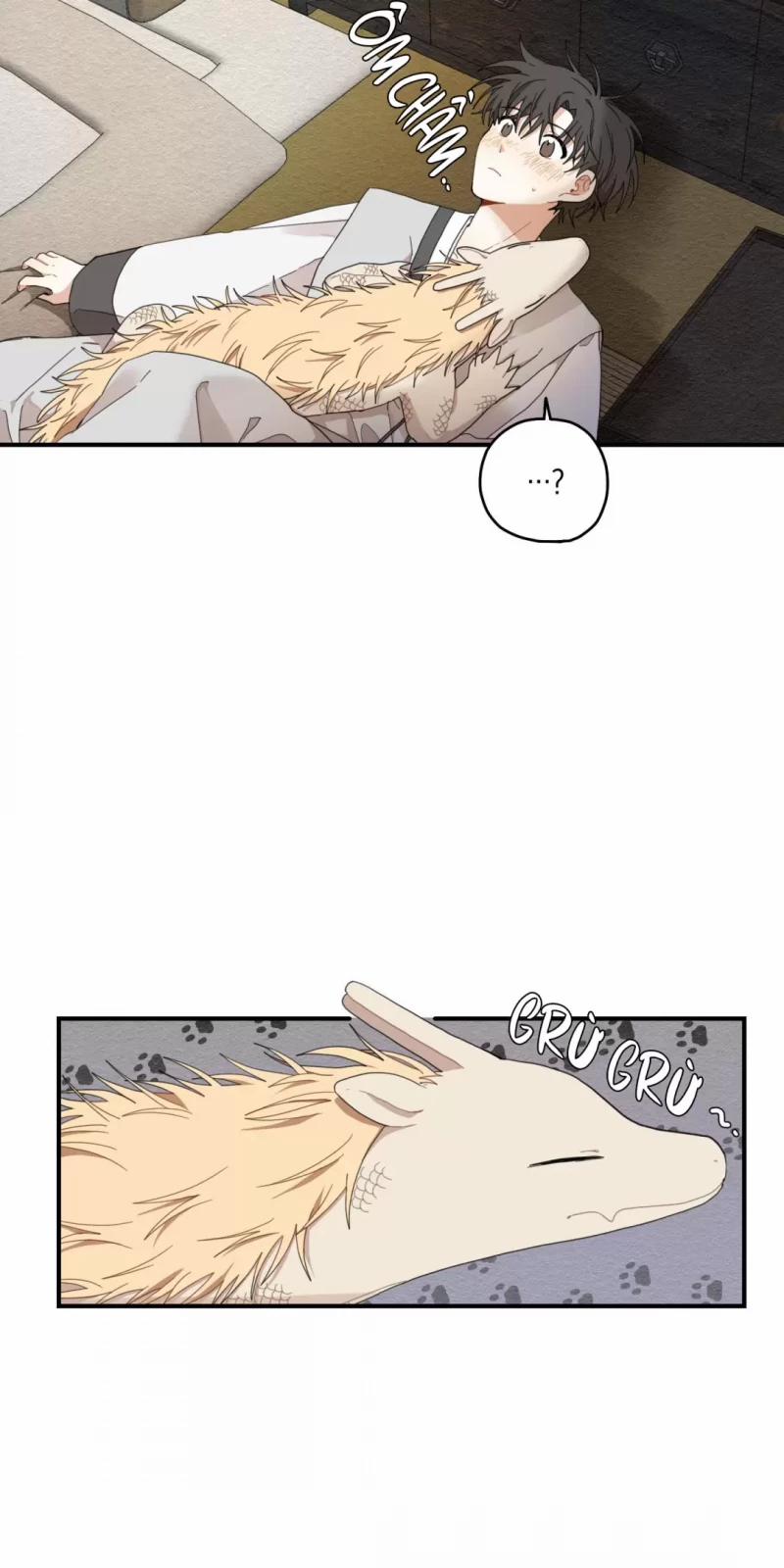 Dưới Tán Hoa Liên Kiều 9.5 trang 17