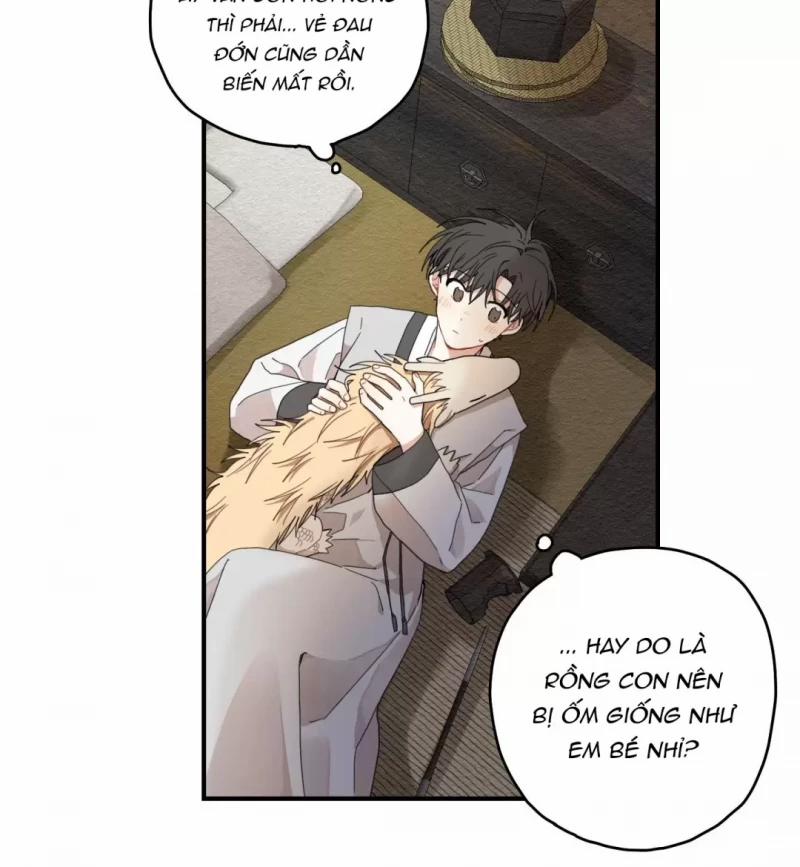 Dưới Tán Hoa Liên Kiều 9.5 trang 19