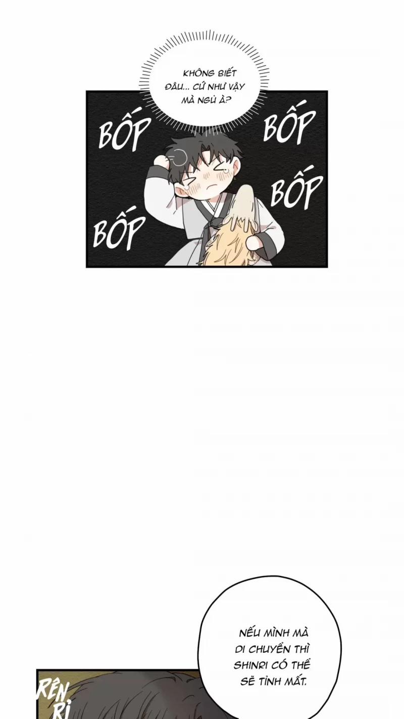 Dưới Tán Hoa Liên Kiều 9.5 trang 21