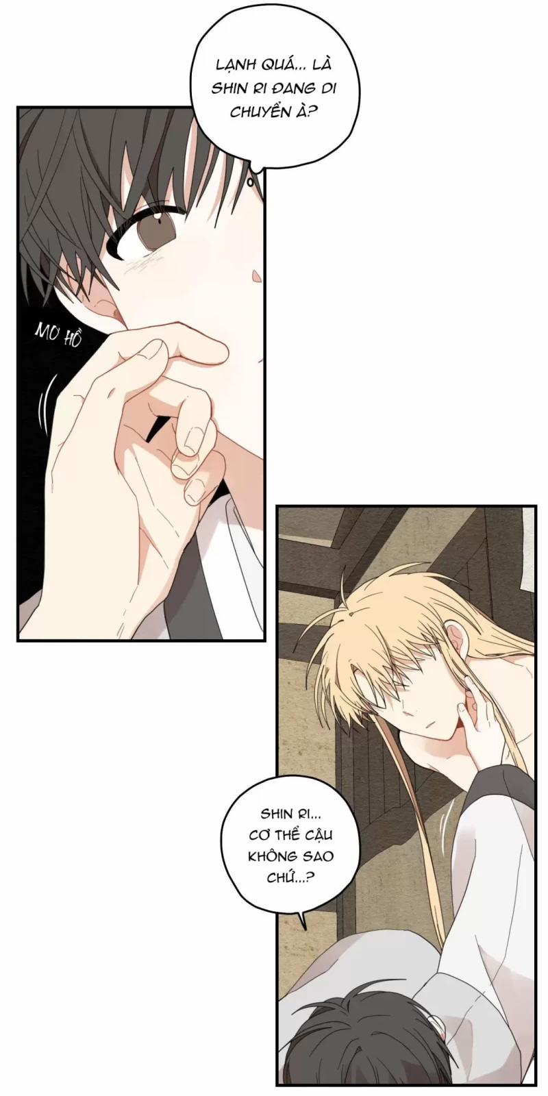 Dưới Tán Hoa Liên Kiều 9.5 trang 26