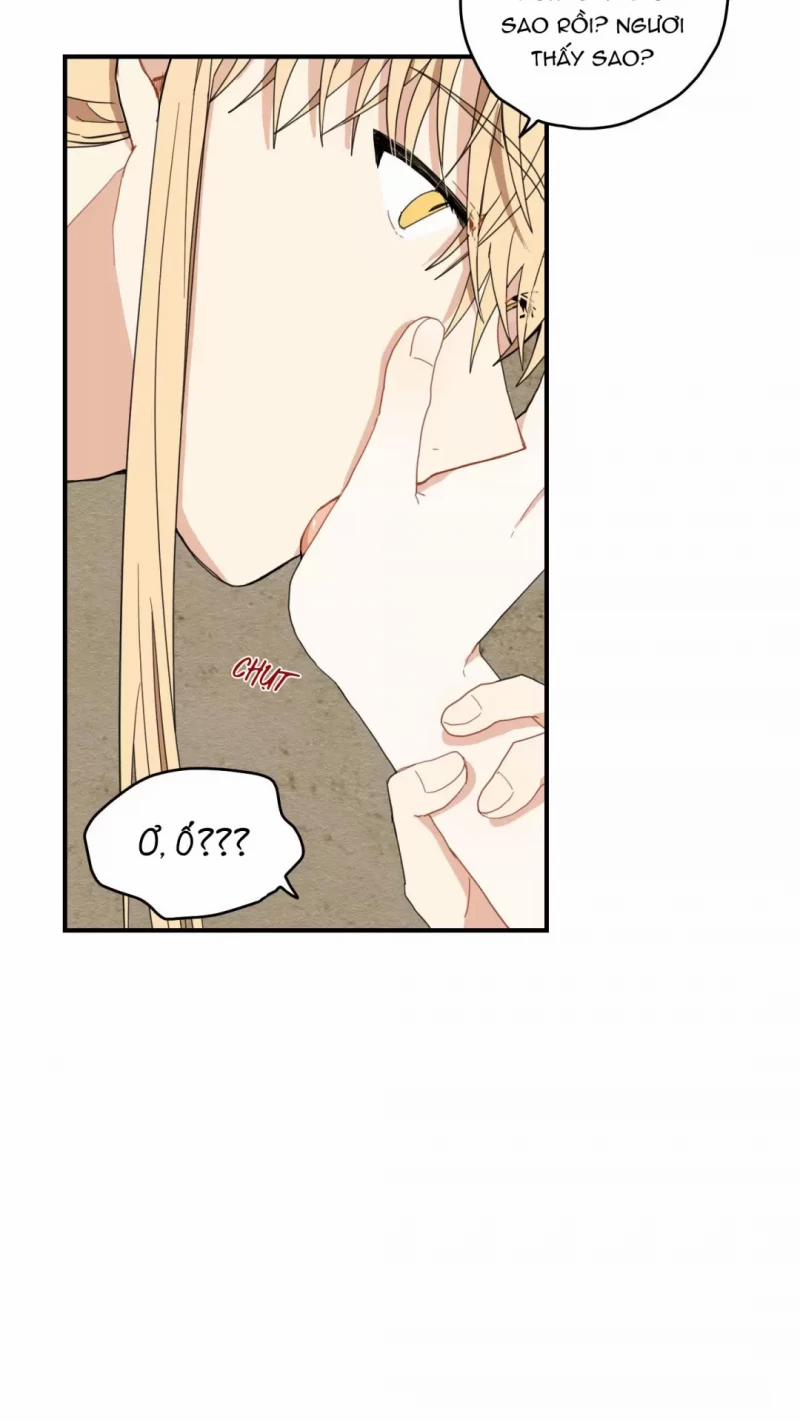 Dưới Tán Hoa Liên Kiều 9.5 trang 31