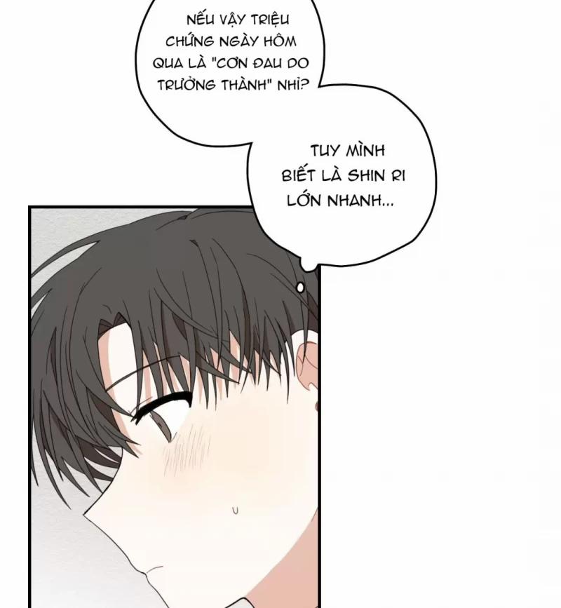 Dưới Tán Hoa Liên Kiều 9.5 trang 37