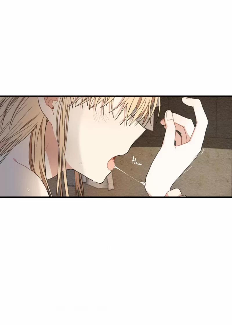 Dưới Tán Hoa Liên Kiều 9.5 trang 4