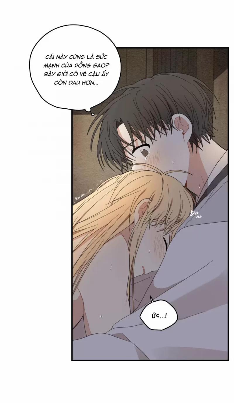 Dưới Tán Hoa Liên Kiều 9.5 trang 8