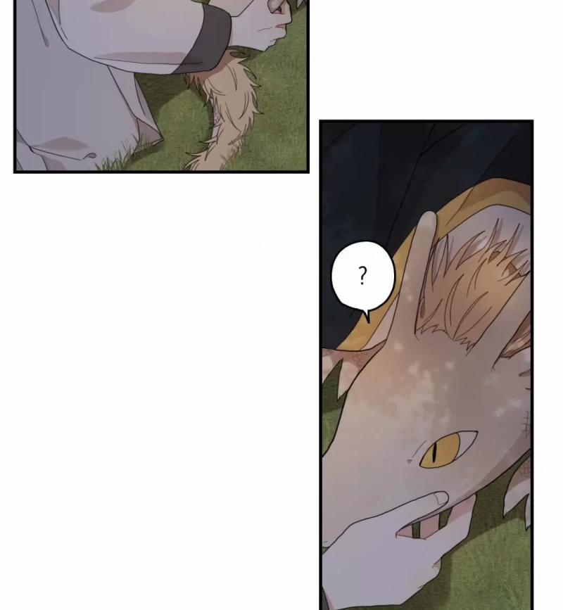 Dưới Tán Hoa Liên Kiều 9 trang 10