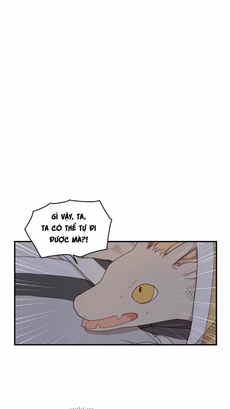 Dưới Tán Hoa Liên Kiều 9 trang 13