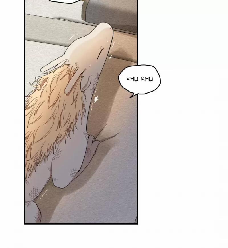 Dưới Tán Hoa Liên Kiều 9 trang 20