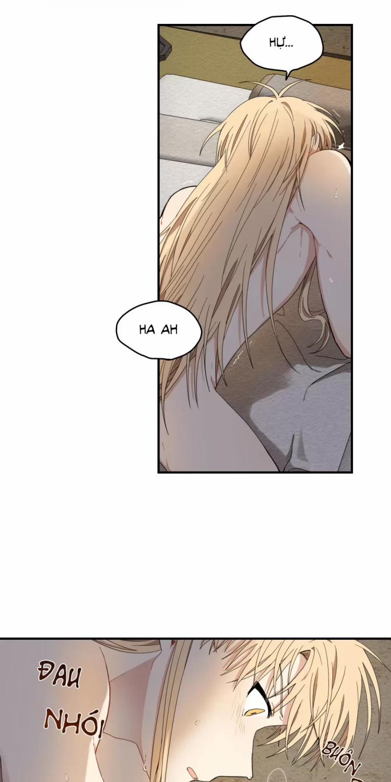 Dưới Tán Hoa Liên Kiều 9 trang 21