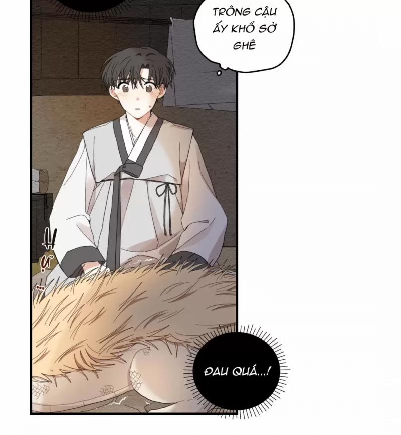 Dưới Tán Hoa Liên Kiều 9 trang 23