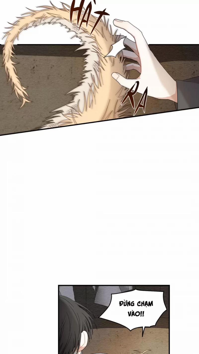 Dưới Tán Hoa Liên Kiều 9 trang 25