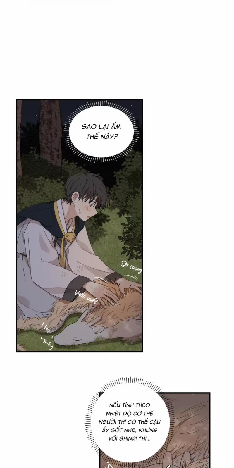 Dưới Tán Hoa Liên Kiều 9 trang 3