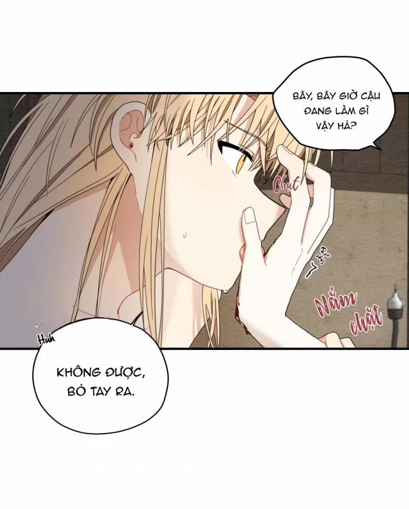 Dưới Tán Hoa Liên Kiều 9 trang 39